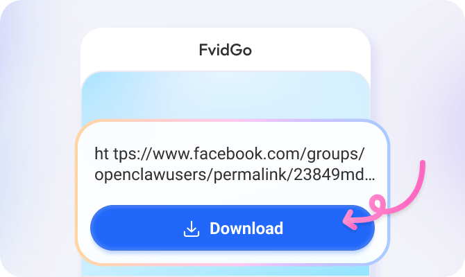 Step 2: Paste URL into FvidGo